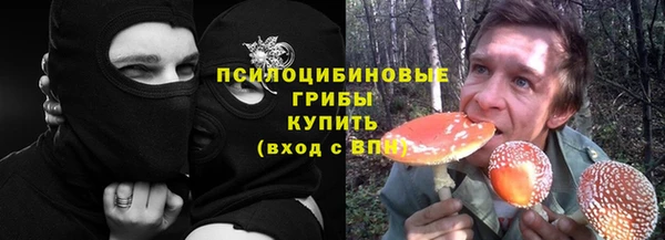 гашик Баксан